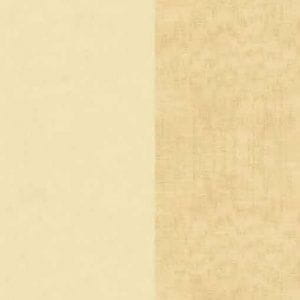 бумажные обои бежевые в комнату KT-Exclusive с полосой Watercolor Florals MF21305 На фото бумажные обои бежевые в комнату KT-Exclusive с полосой Watercolor Florals MF21305