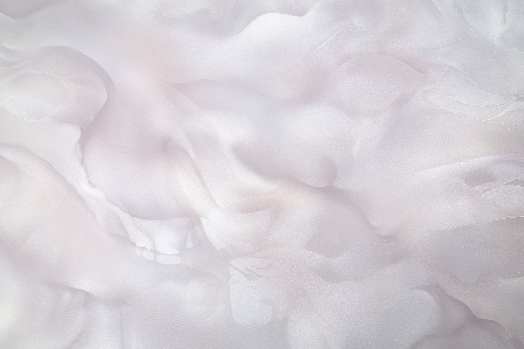 Товар добавлен в корзину