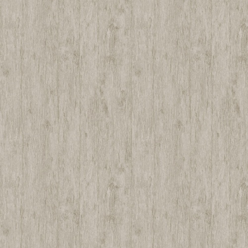 PA01635 Pavone