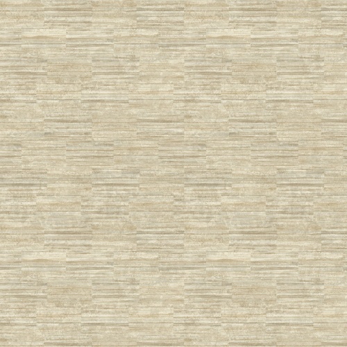 PA01608 Pavone