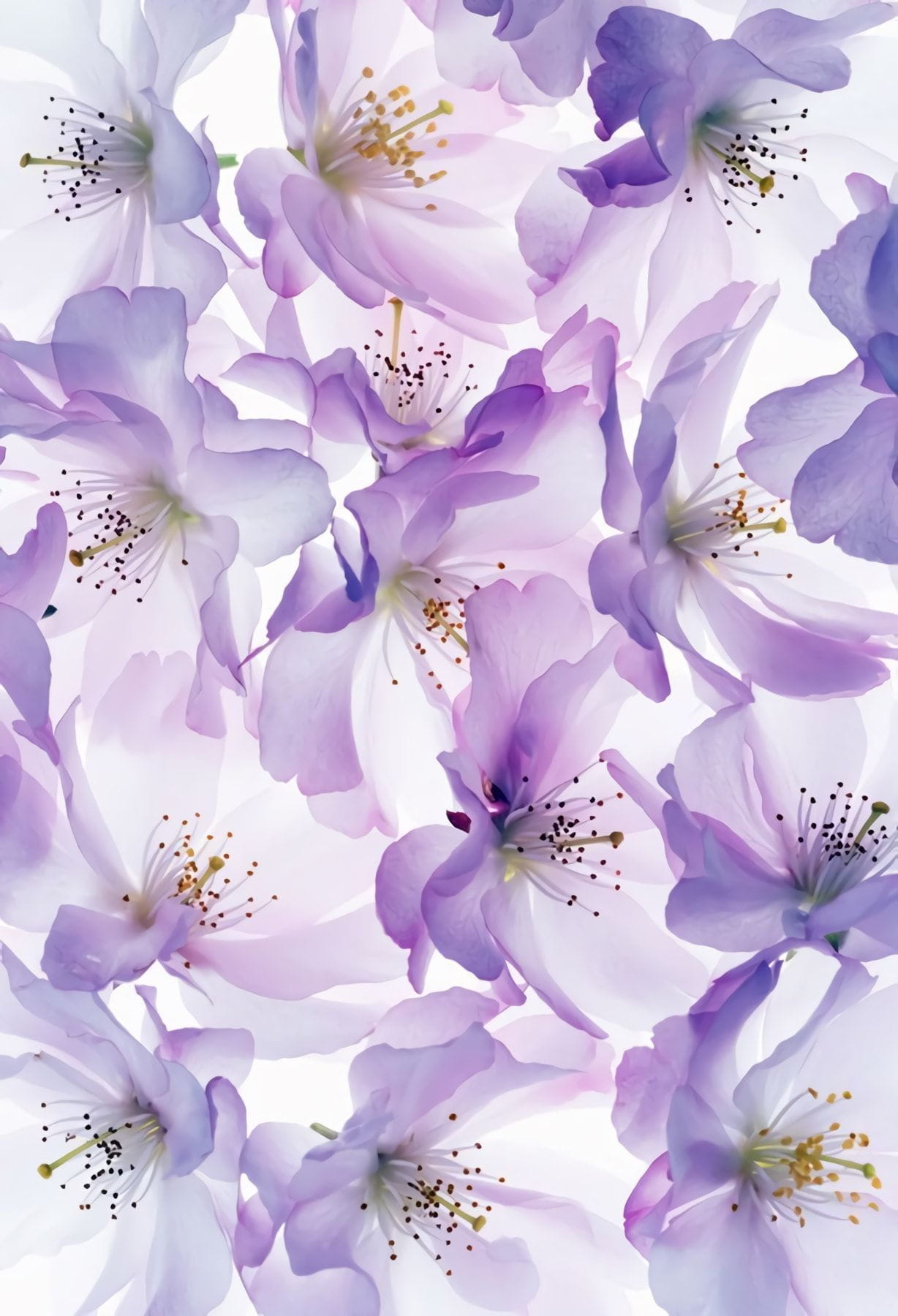 Товар добавлен в корзину