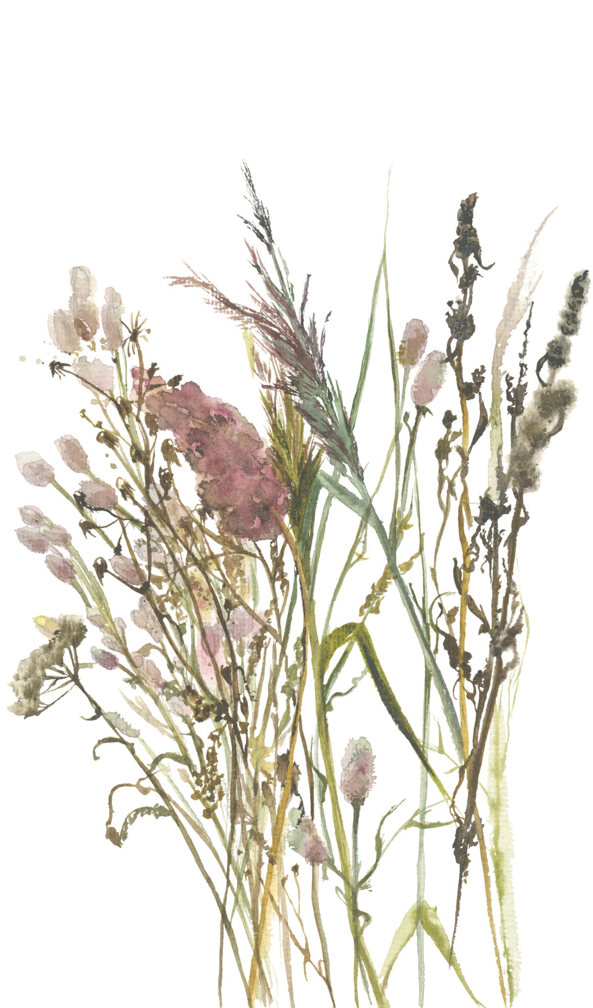 Товар добавлен в корзину