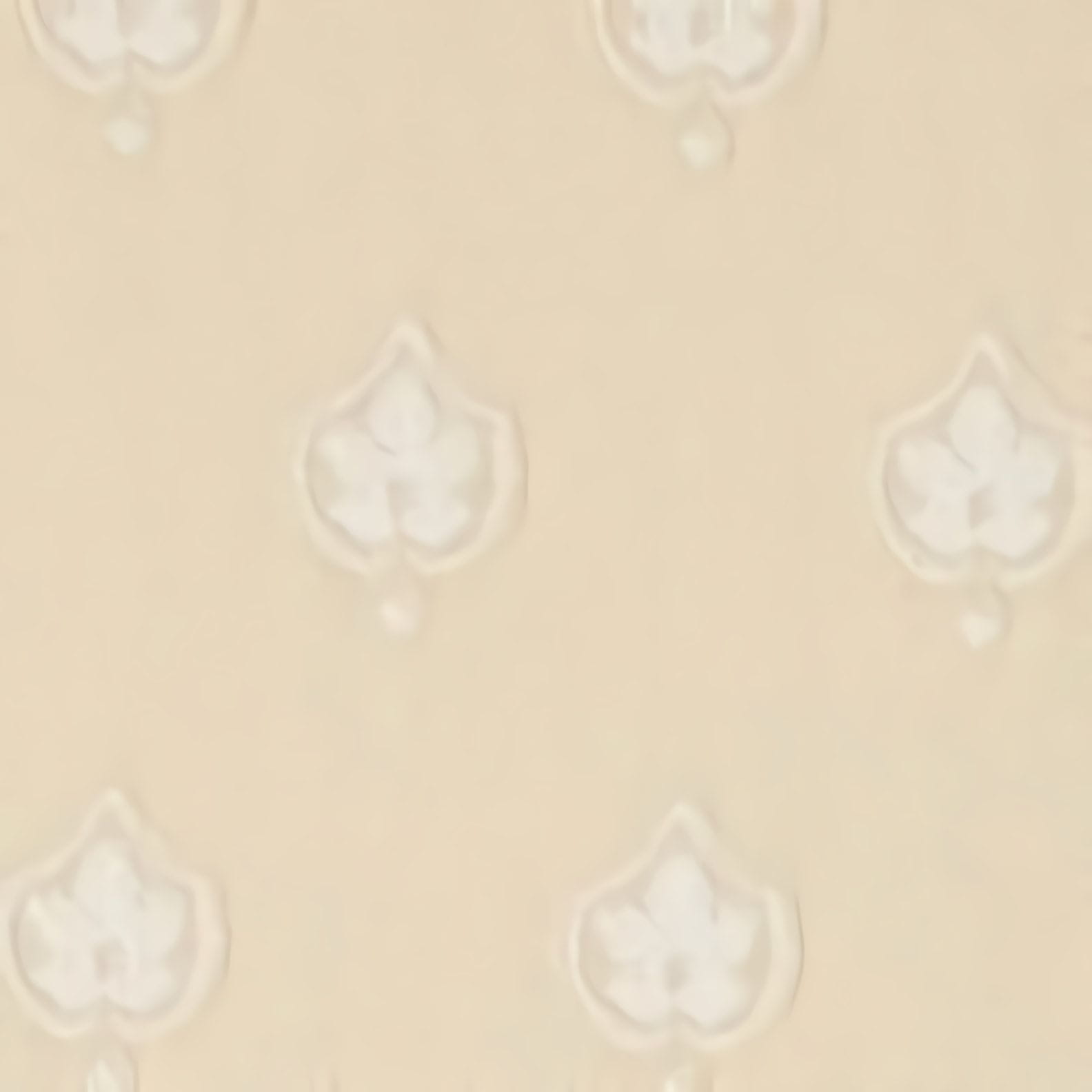 Товар добавлен в корзину