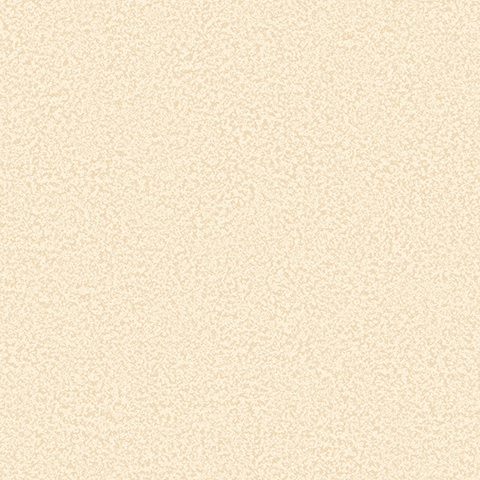 54488-3 Bocca