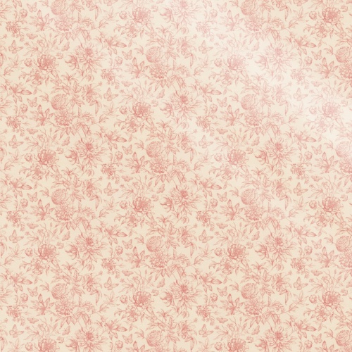 793949 Peonies