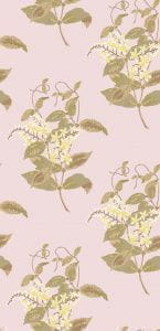 английские флизелиновые полностью обои розовые в комнату с цветами  Cole Son Collection of Flowers 81/6025 На фото английские флизелиновые полностью обои розовые в комнату с цветами  Cole Son Collection of Flowers 81/6025