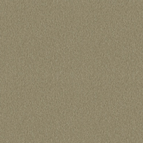PA01639 Pavone