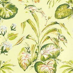 обои светло-зеленые Thibaut с птицами Waterlily 839-T-1150 На фото обои светло-зеленые Thibaut с птицами Waterlily 839-T-1150