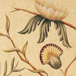 флизелиновые полностью обои коричневые в комнату Lewis&Wood Wide Width Wallpapers Adamseden-Buttermilk-Wpcw На фото флизелиновые полностью обои коричневые в комнату Lewis&Wood Wide Width Wallpapers Adamseden-Buttermilk-Wpcw