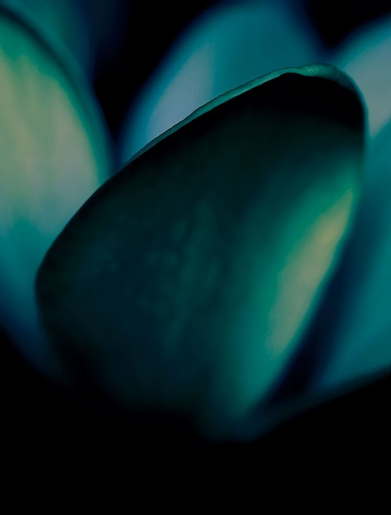 Товар добавлен в корзину