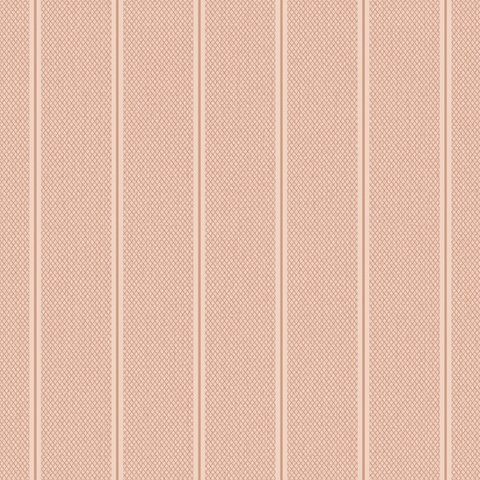 54490-11 Bocca