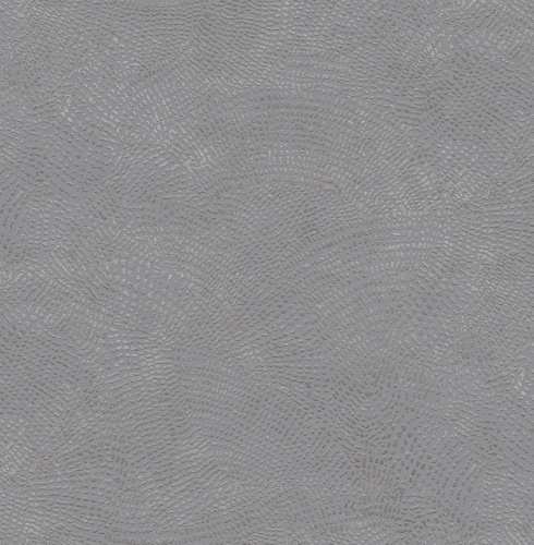 585007 Markus