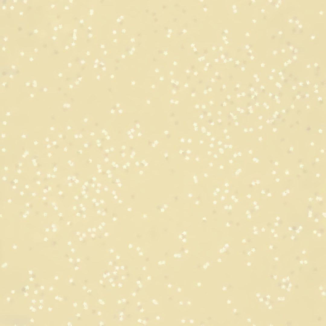 Товар добавлен в корзину