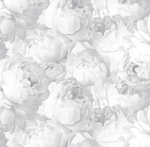 585330 Peony 585330 Peony