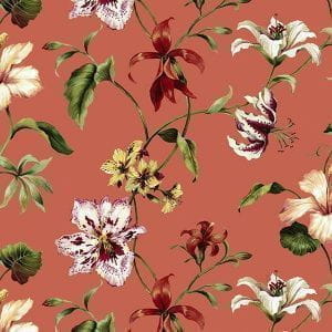 Обои Jaima Brown Charleston Home 50111 Обои Jaima Brown Charleston Home 50111
