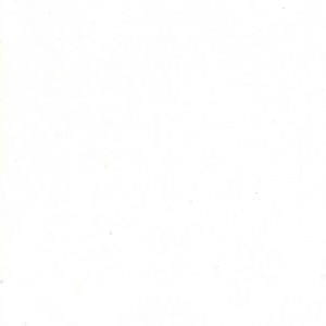 Обои Zuber Grand Duche 40132 BLANC Обои Zuber Grand Duche 40132 BLANC