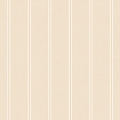 54490-9 Bocca