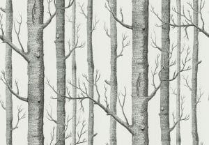 английские флизелиновые полностью обои серые в гостиную Cole Son The Contemporary Collection 69-12147 На фото английские флизелиновые полностью обои серые в гостиную Cole Son The Contemporary Collection 69-12147