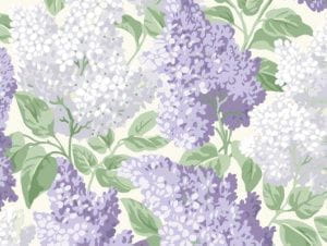 шведские флизелиновые полностью обои в комнату Cole Son с цветами  Botanical Botanica 115/1004 На фото шведские флизелиновые полностью обои в комнату Cole Son с цветами  Botanical Botanica 115/1004