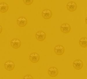 элитные виниловые обои желтые в комнату AS-Creation Versace 34862-4 На фото элитные виниловые обои желтые в комнату AS-Creation Versace 34862-4
