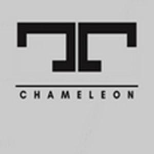 Chameleon Tiffany Design Chameleon