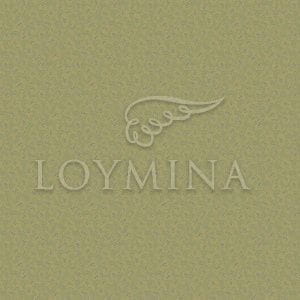 российские премиум флизелиновые полностью обои в комнату стиле кантри Loymina Jetset Jet6 018 На фото российские премиум флизелиновые полностью обои в комнату стиле кантри Loymina Jetset Jet6 018