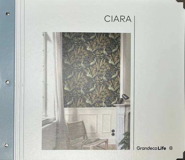 Ciara GranDeco Ciara