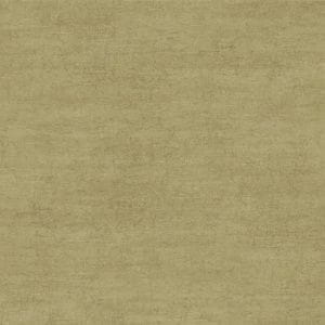 американские обои светло-зеленые York «под штукатурку» Texture Portfolio EW6722 На фото американские обои светло-зеленые York «под штукатурку» Texture Portfolio EW6722