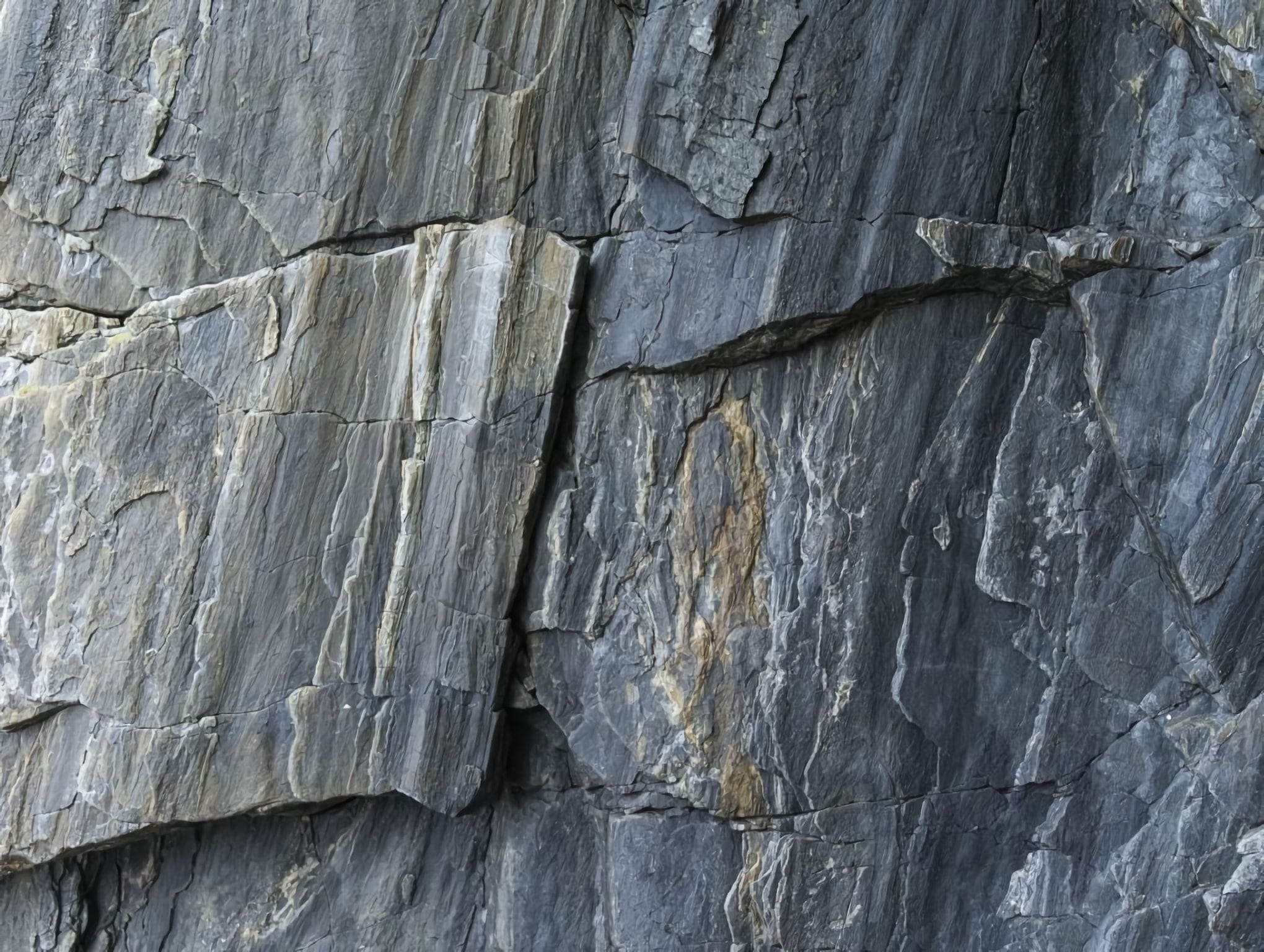 Товар добавлен в корзину