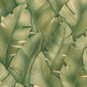 На фото флизелиновые обои зеленого тона Monte Solaro Tropicana 9148-04