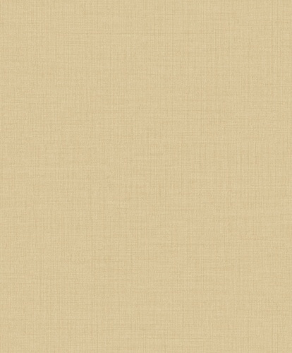 LD 1020 Little Dreamers