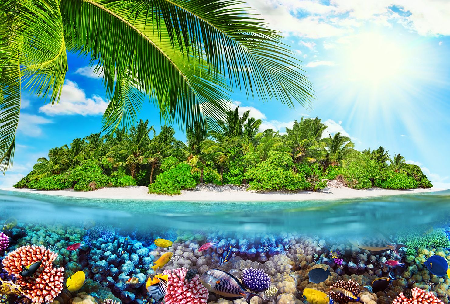 Товар добавлен в корзину