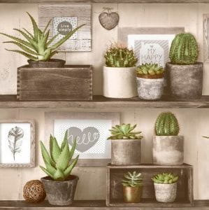 российские дешевые флизелиновые обои в комнату Euro Decor вставка Cactus 2016-02 На фото российские дешевые флизелиновые обои в комнату Euro Decor вставка Cactus 2016-02