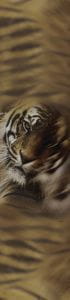 Обои Roberto Cavalli Home 1 12082 Обои Roberto Cavalli Home 1 12082