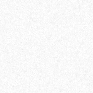 шведские флизелиновые полностью обои белые Eco White & Light 7166 На фото шведские флизелиновые полностью обои белые Eco White & Light 7166