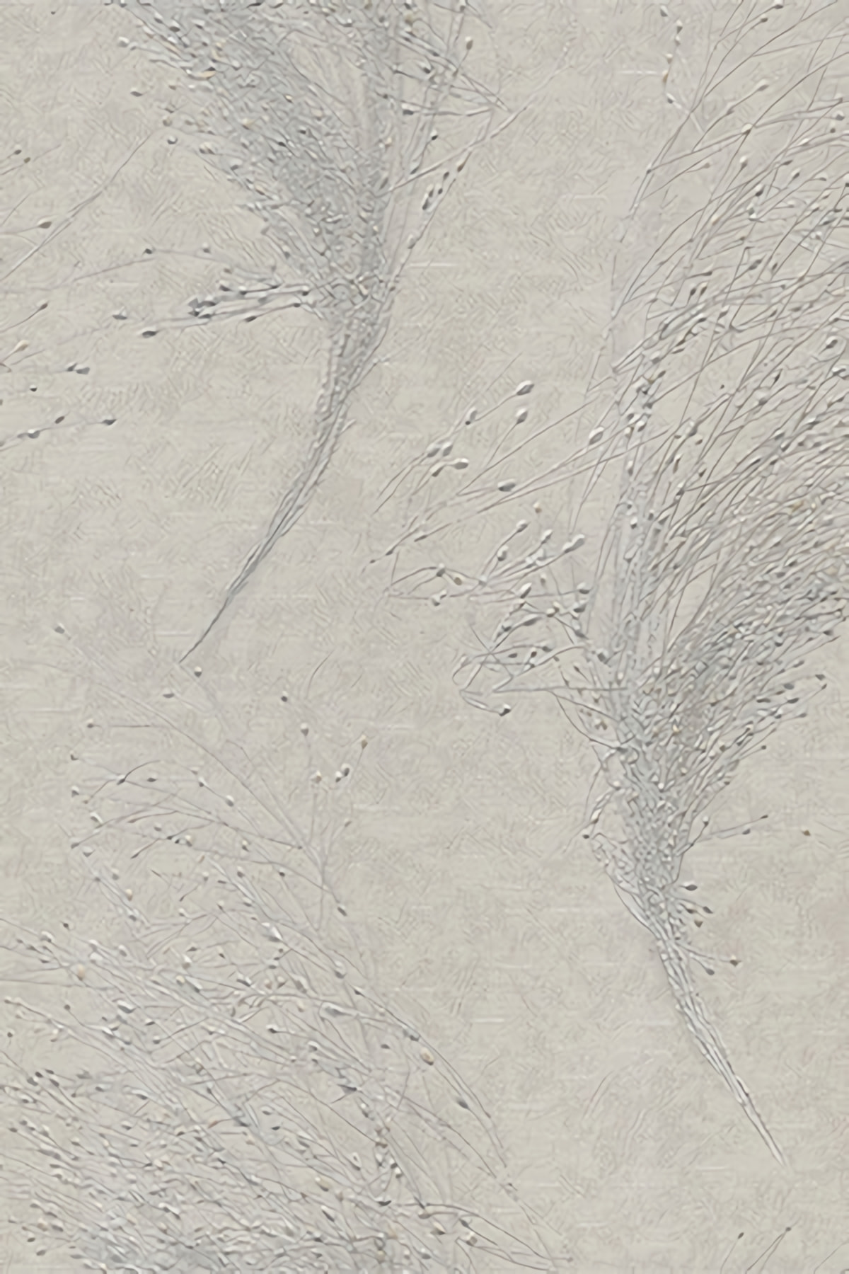 Товар добавлен в корзину