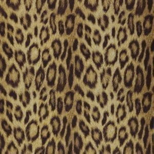 дорогие бумажные обои Covers Jungle Club Panthera 08-Gold На фото дорогие бумажные обои Covers Jungle Club Panthera 08-Gold