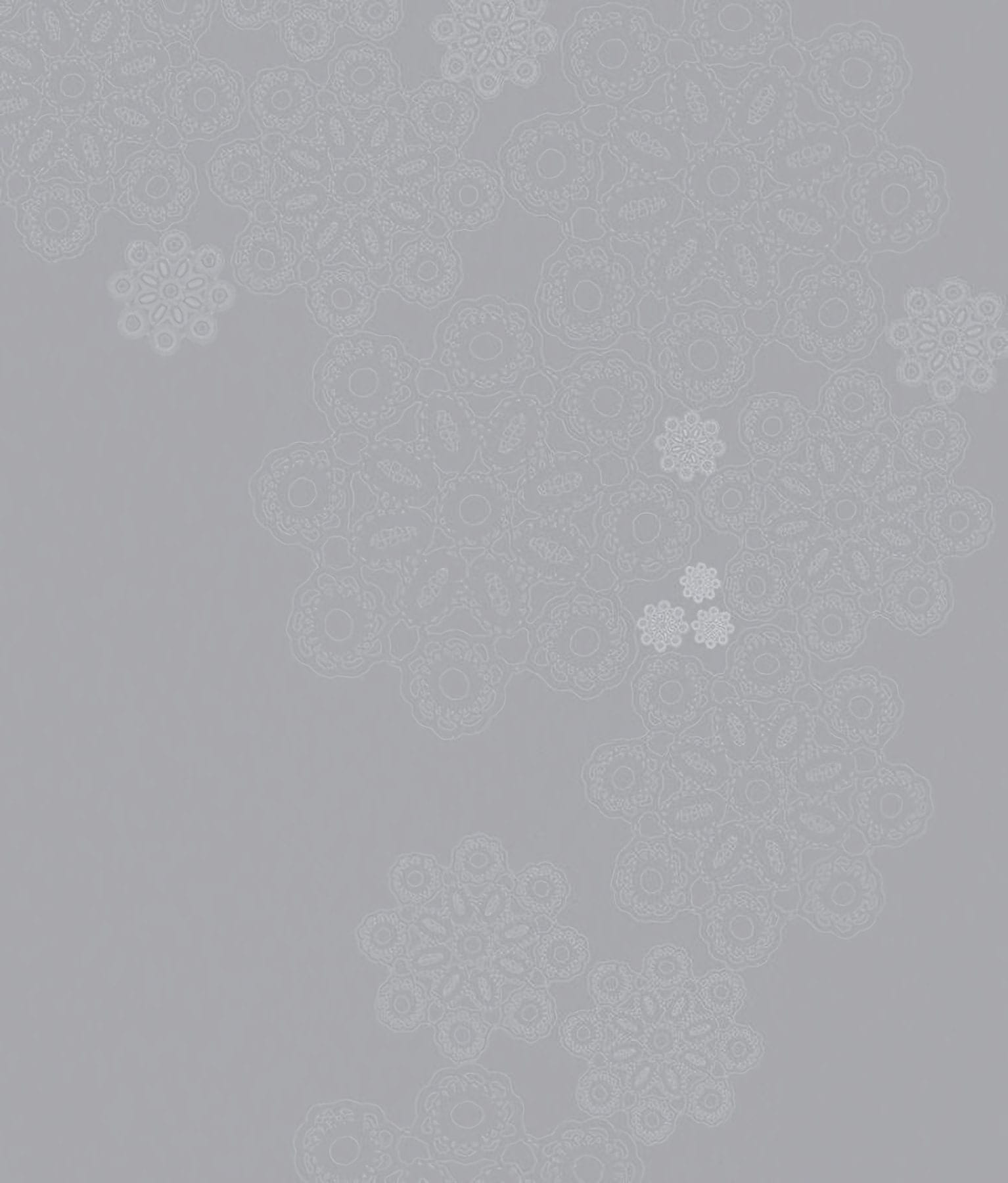 Товар добавлен в корзину