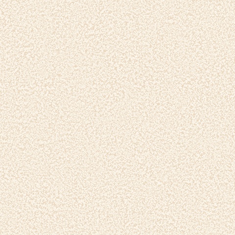 54488-6 Bocca