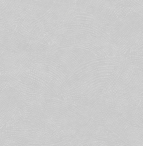 585005 Markus