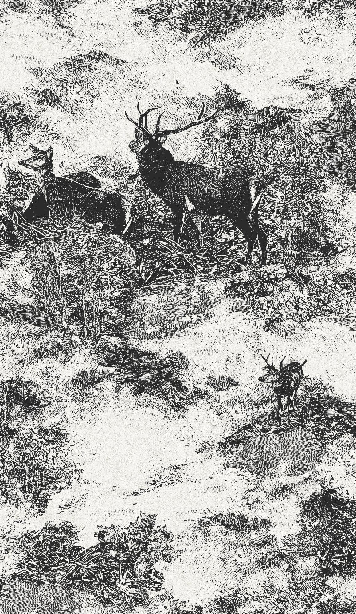 Товар добавлен в корзину