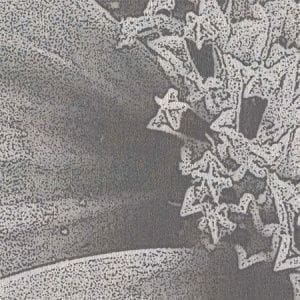 обои капучино Italreflexes Marco macro-013 flower silver На фото обои капучино Italreflexes Marco macro-013 flower silver
