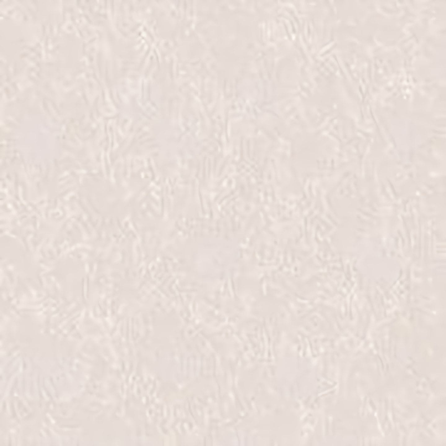 Товар добавлен в корзину