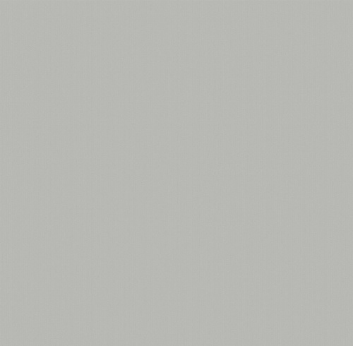 589223 Olive