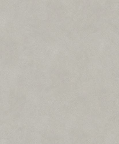 36321 Whisper