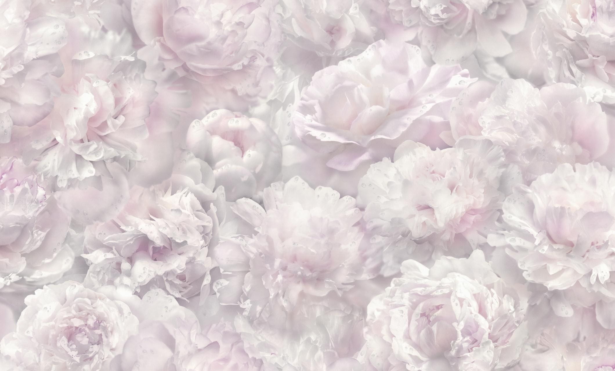 Товар добавлен в корзину