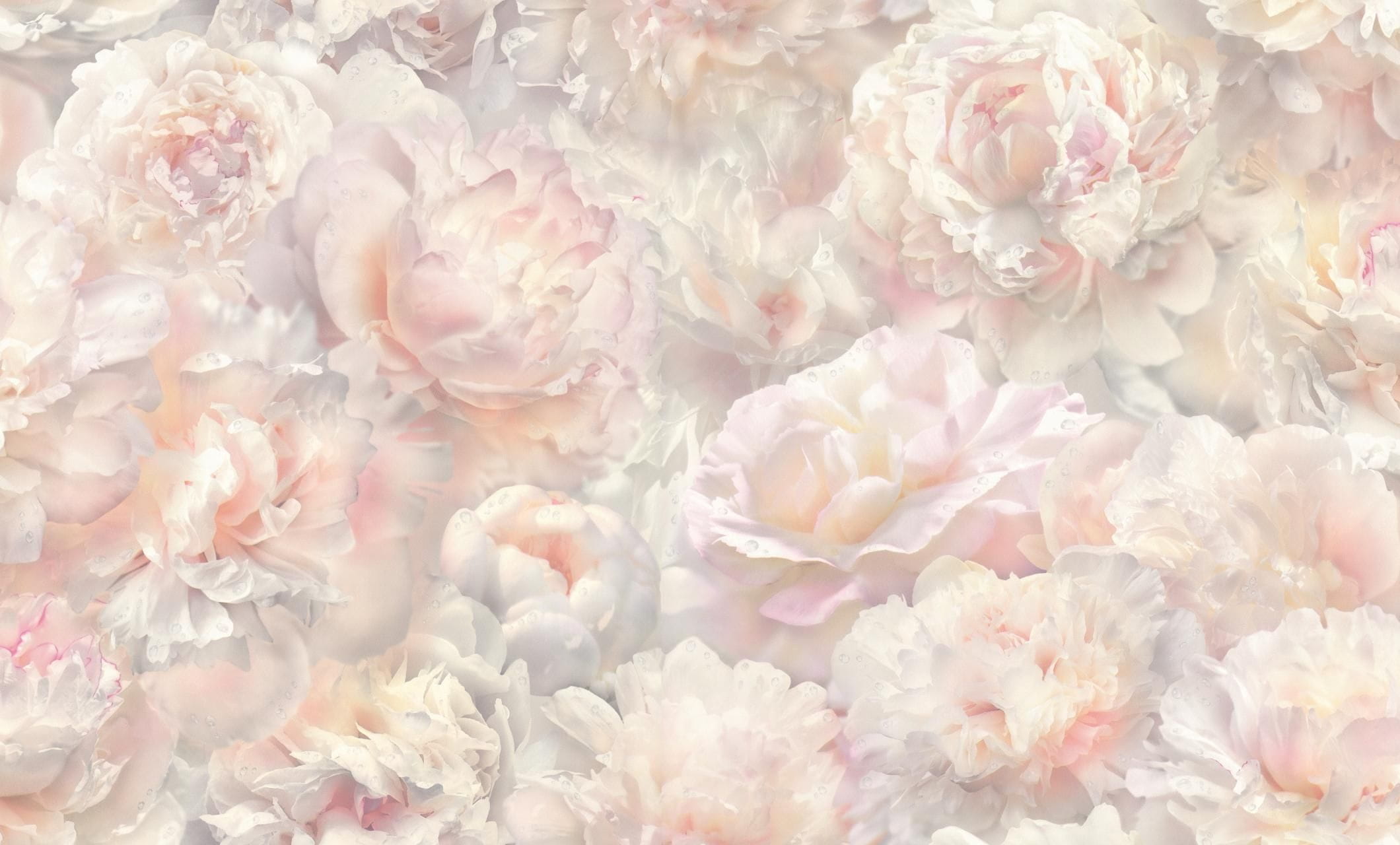 Товар добавлен в корзину