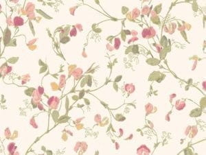 элитные флизелиновые полностью обои розовые в гостиную с цветами  Cole Son Botanical Botanica 100/6028 На фото элитные флизелиновые полностью обои розовые в гостиную с цветами  Cole Son Botanical Botanica 100/6028