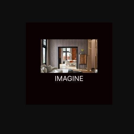 Imagine BN International Imagine