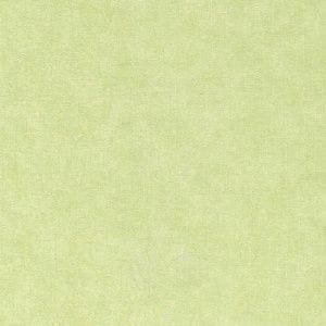 немецкие дешевые виниловые обои светло-зеленые «под штукатурку» Rasch Aquarelle 602401 На фото немецкие дешевые виниловые обои светло-зеленые «под штукатурку» Rasch Aquarelle 602401